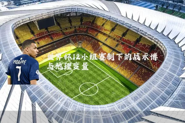 世界杯12小组赛制下的战术博弈与地理变量