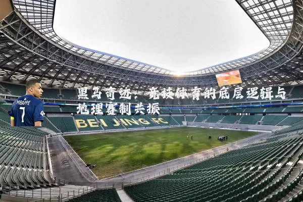 黑马奇迹:竞技体育的底层逻辑与地理赛制共振